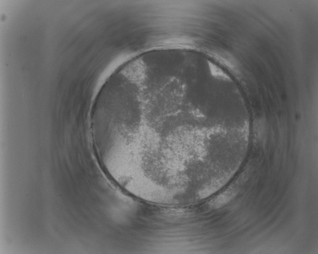 X0000066531470200603311807