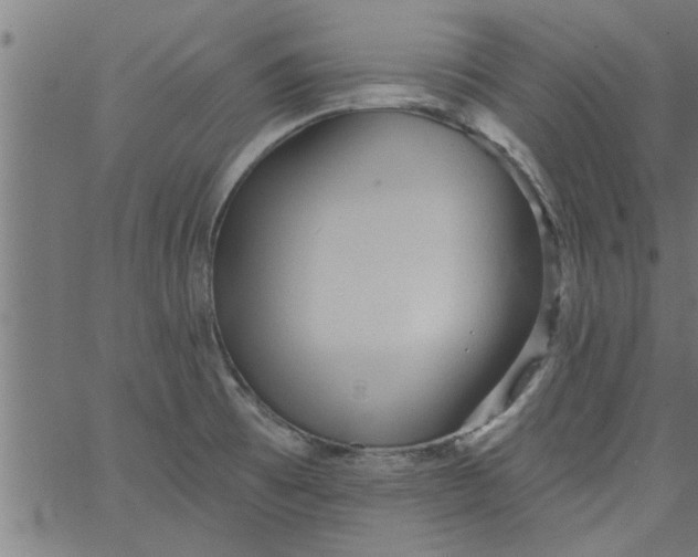 X0000066531473200603311807