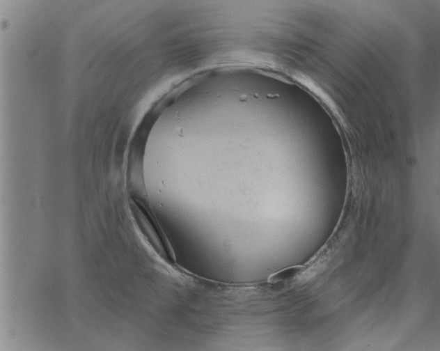 X0000066531477200603311807