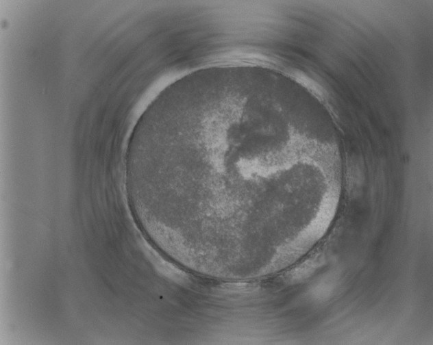 X0000066531478200603311807