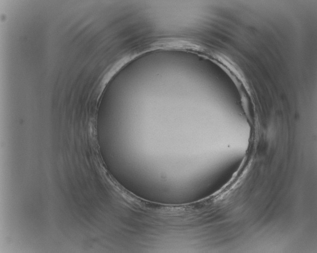 X0000066531481200603311807