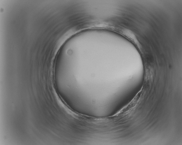 X0000066531483200603311807