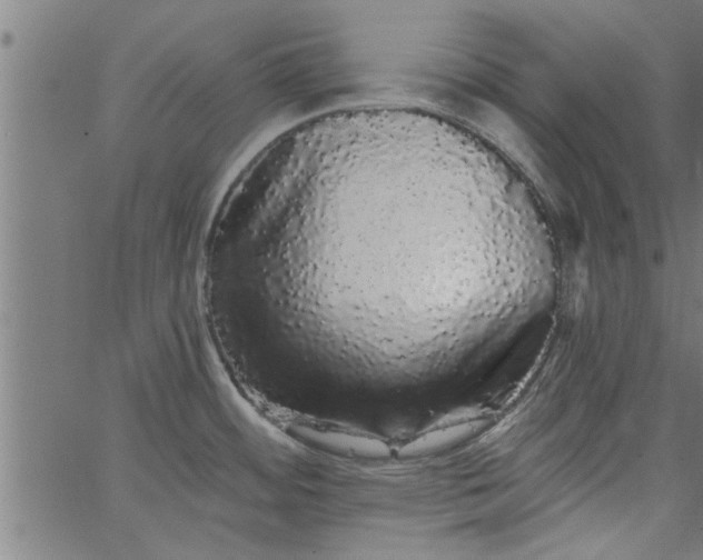 X0000066531484200603311807