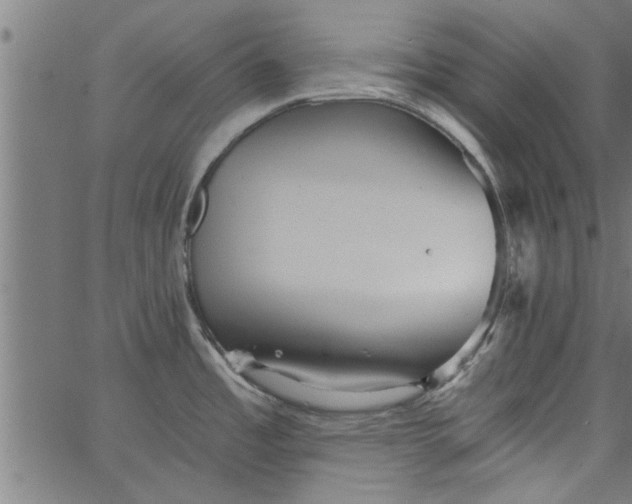 X0000066531485200603311807