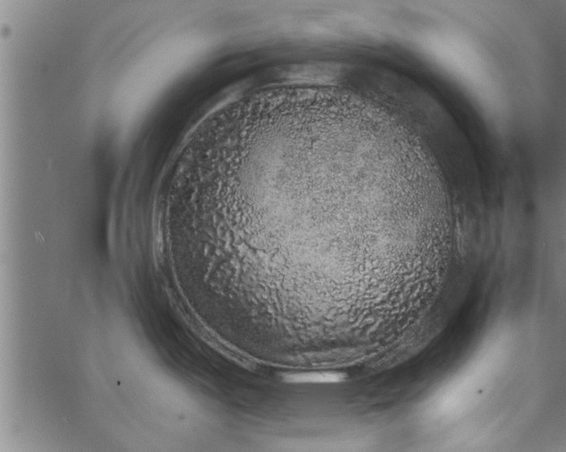 X0000066531487200603311807