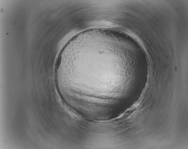 X0000066531488200603311807