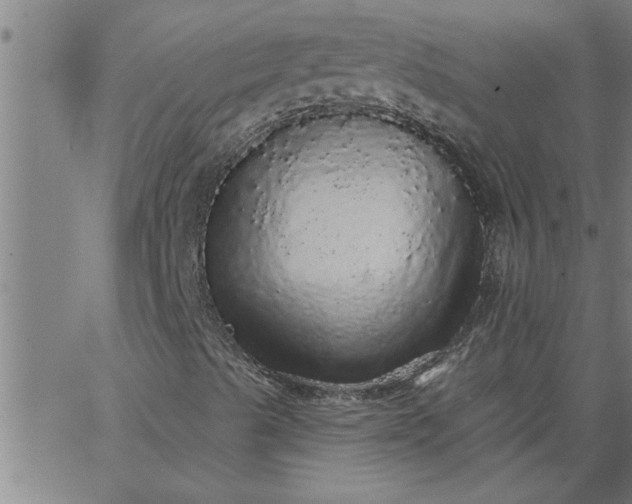 X0000066531489200603311806