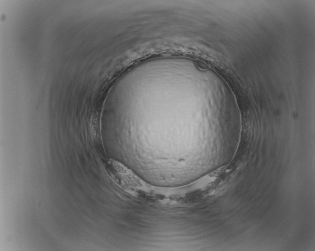 X0000066531490200603311806