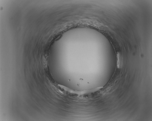 X0000066531491200603311806