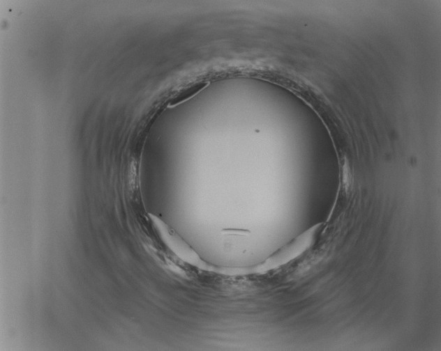 X0000066531492200603311806