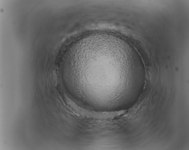 X0000066531493200603311806