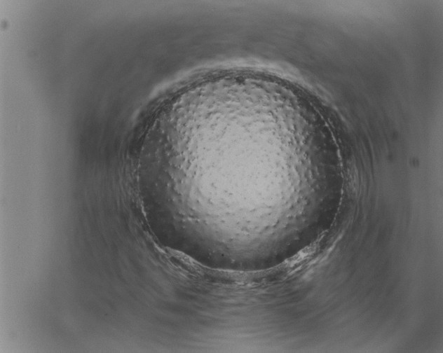 X0000066531494200603311806