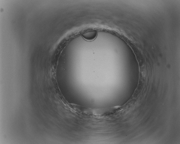 X0000066531495200603311806