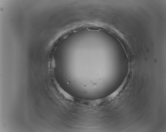 X0000066531496200603311806