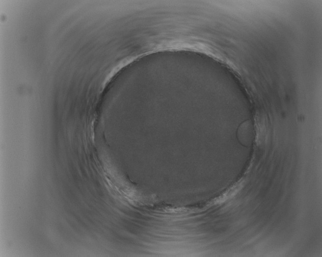 X0000066531497200603311806