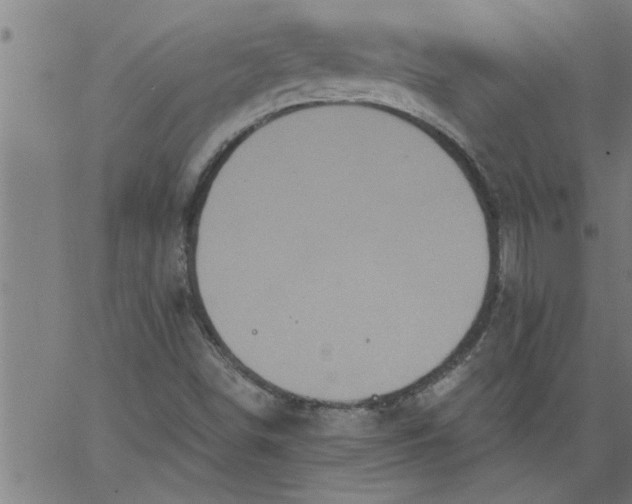 X0000066531498200603311806