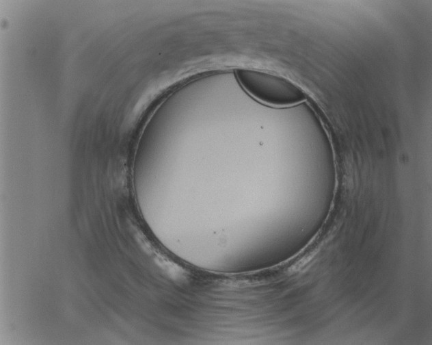 X0000066531499200603311807