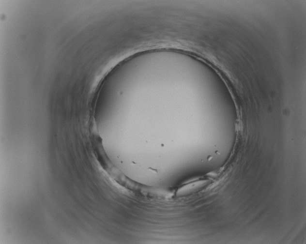 X0000066531500200603311807