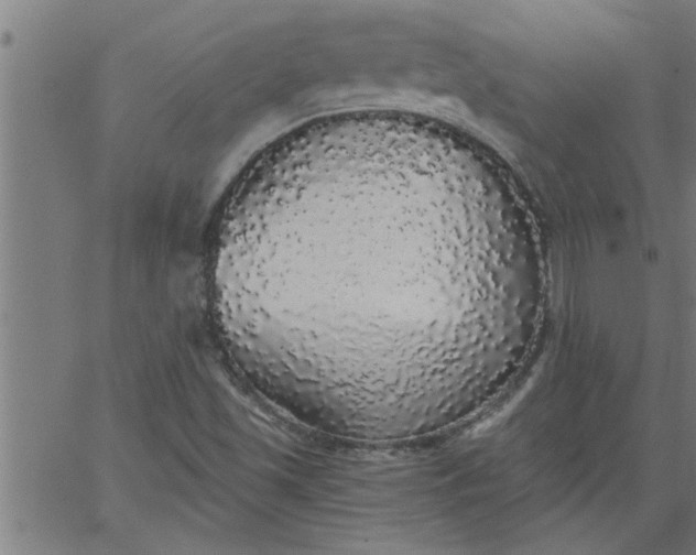 X0000066531501200603311807