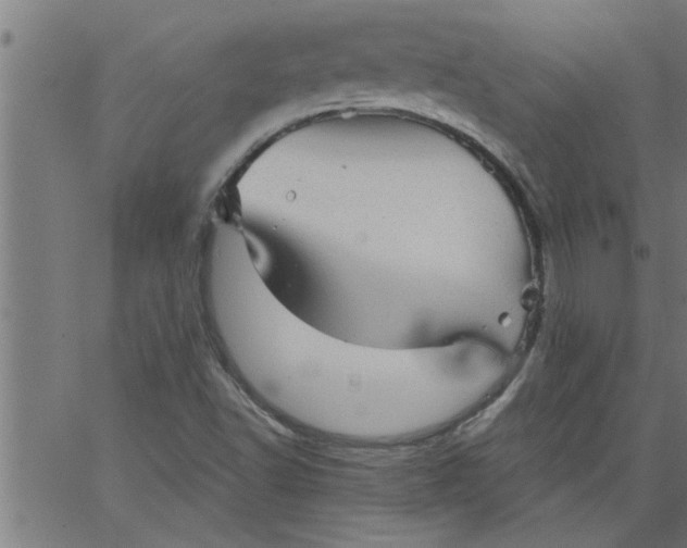 X0000066531502200603311807