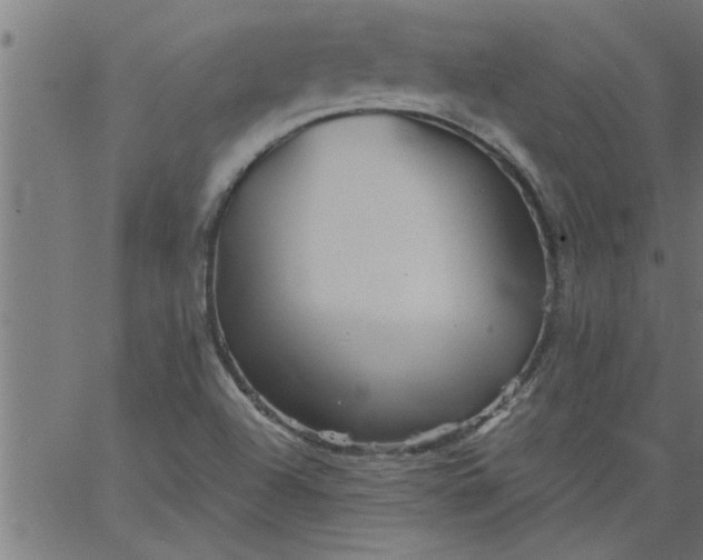 X0000066531504200603311807