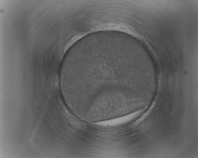 X0000066531505200603311807