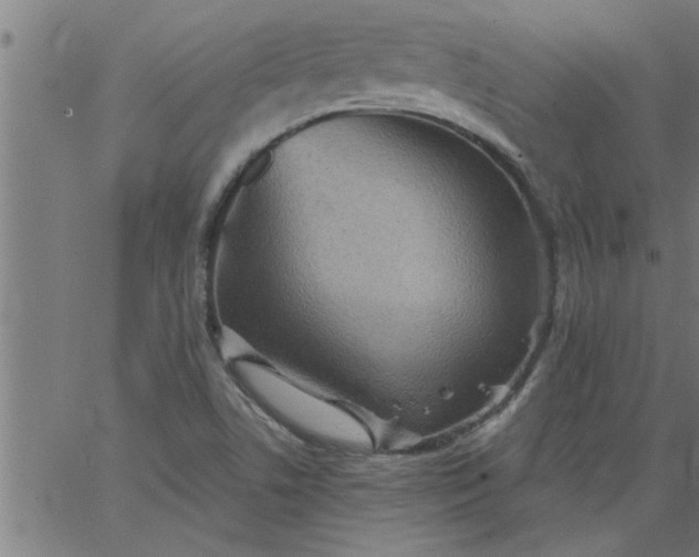 X0000066531506200603311807