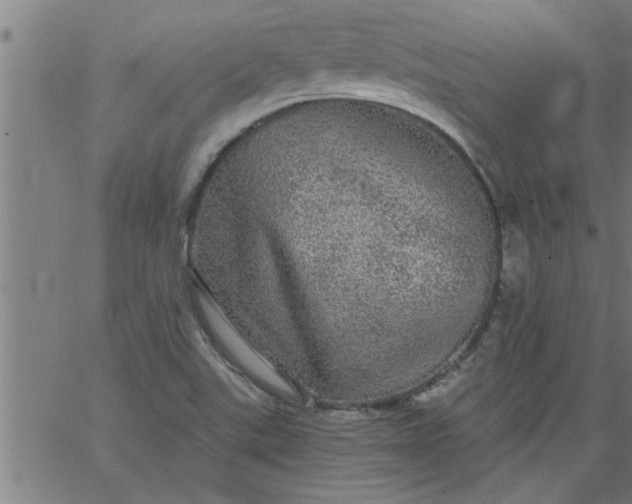 X0000066531507200603311807