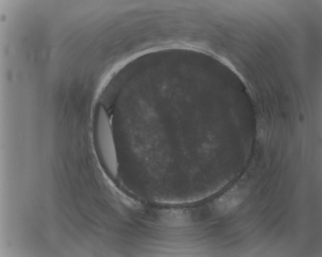 X0000066531508200603311807