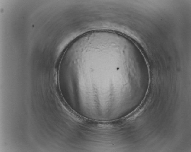 X0000066531509200603311807