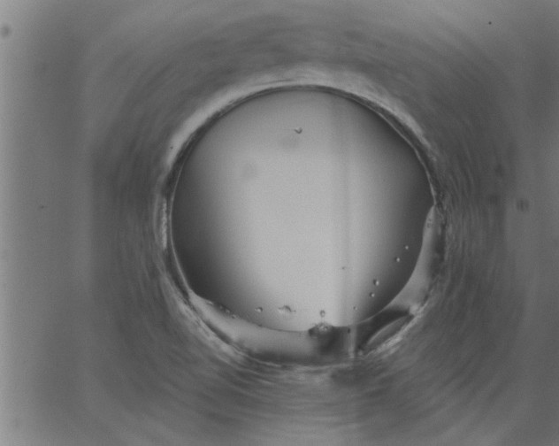 X0000066531510200603311807