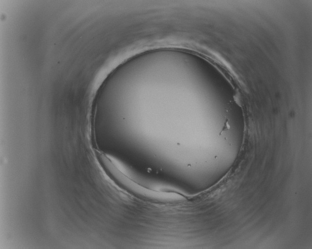 X0000066531512200603311807