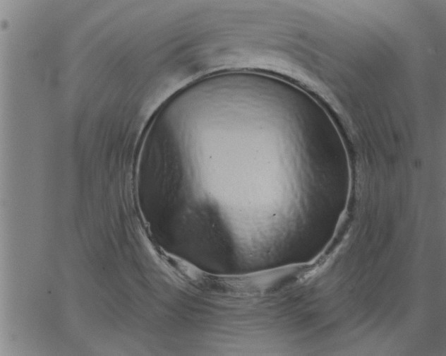 X0000066531513200603311807