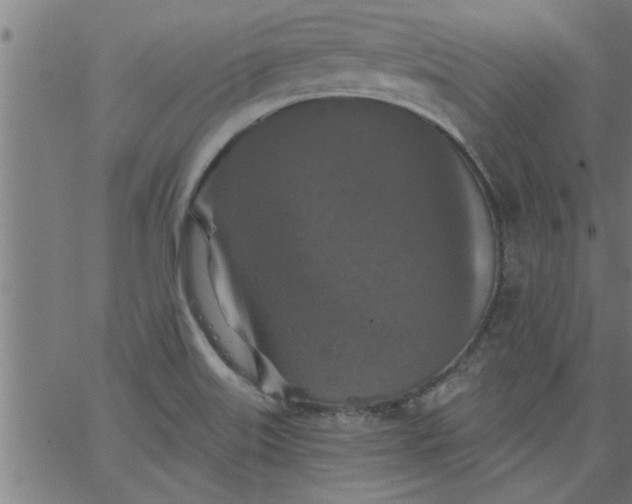 X0000066531515200603311807