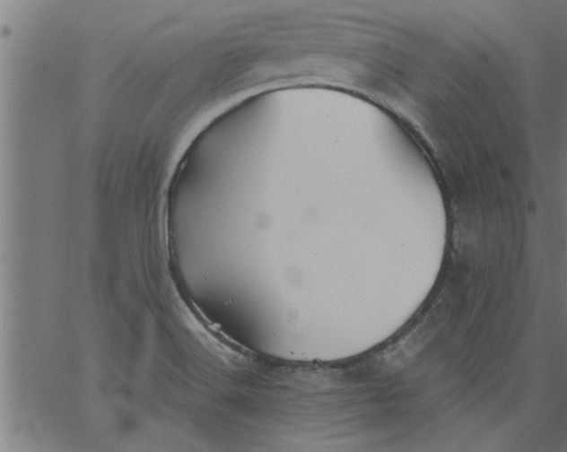 X0000066531516200603311807