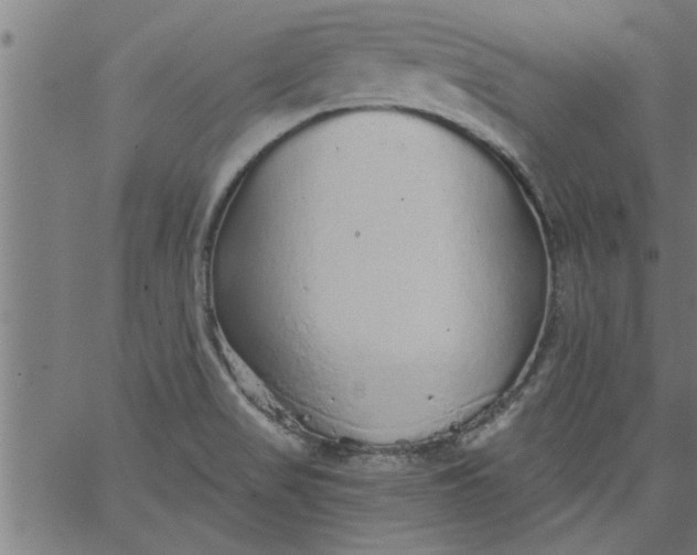 X0000066531517200603311807