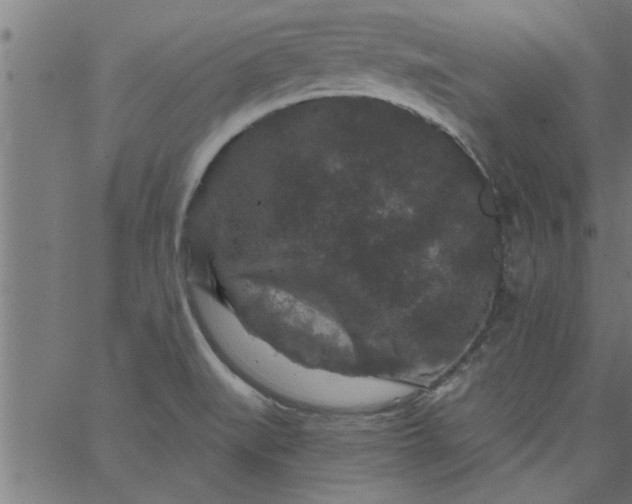 X0000066531519200603311807