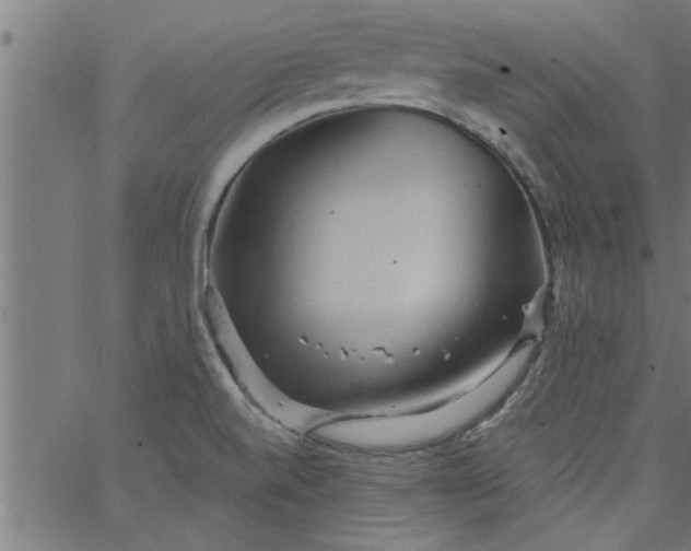 X0000066531520200603311807