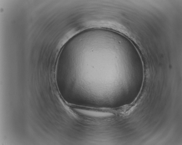 X0000066531521200603311807