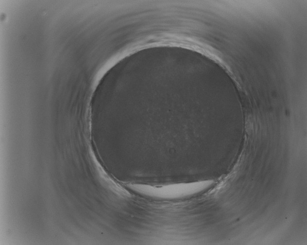 X0000066531522200603311807