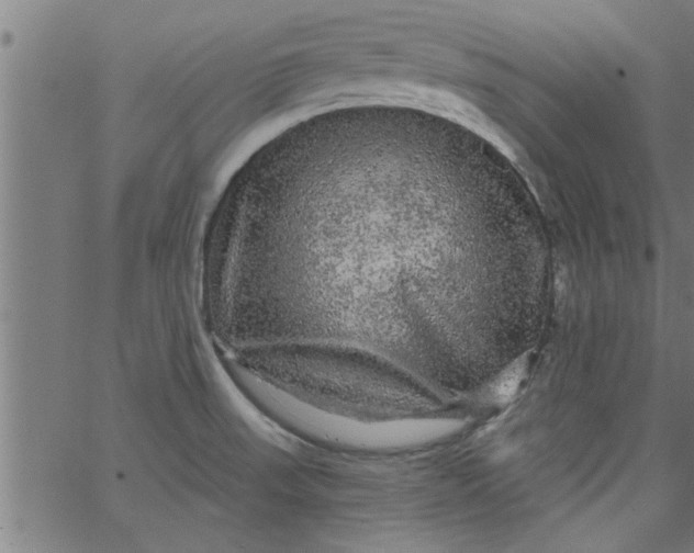 X0000066531523200603311807