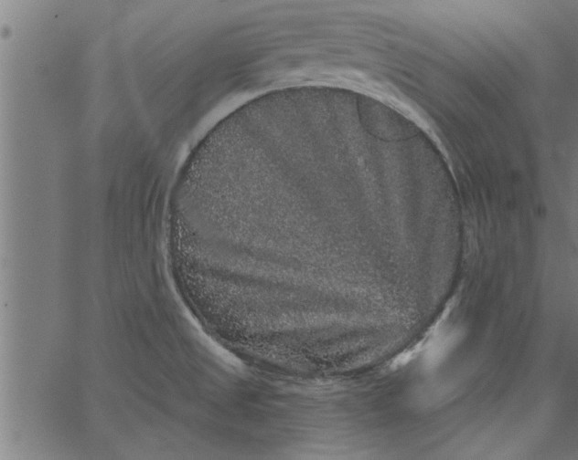 X0000066531525200603311807