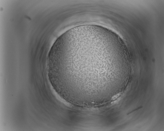 X0000066531526200603311807