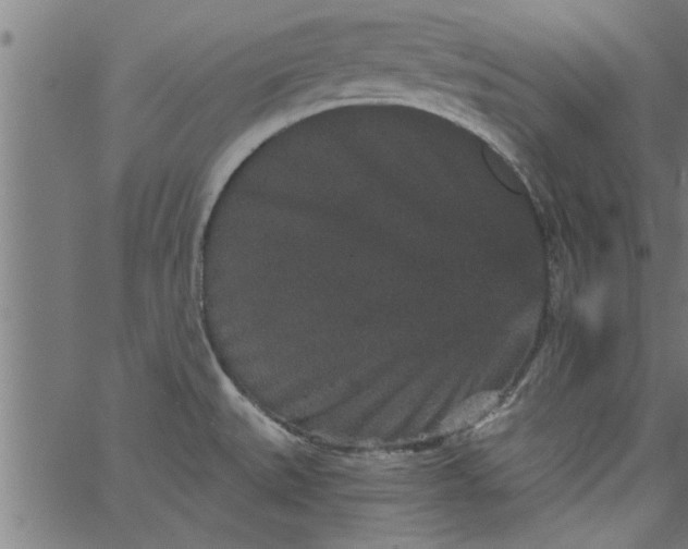 X0000066531527200603311807