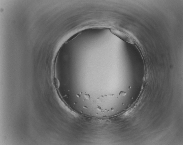 X0000066531528200603311807