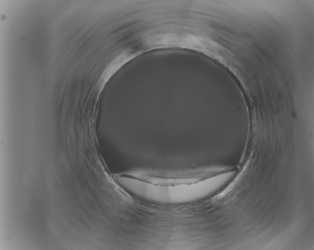 X0000066531529200603311807