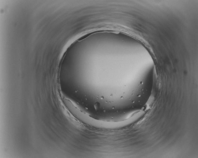 X0000066531530200603311807