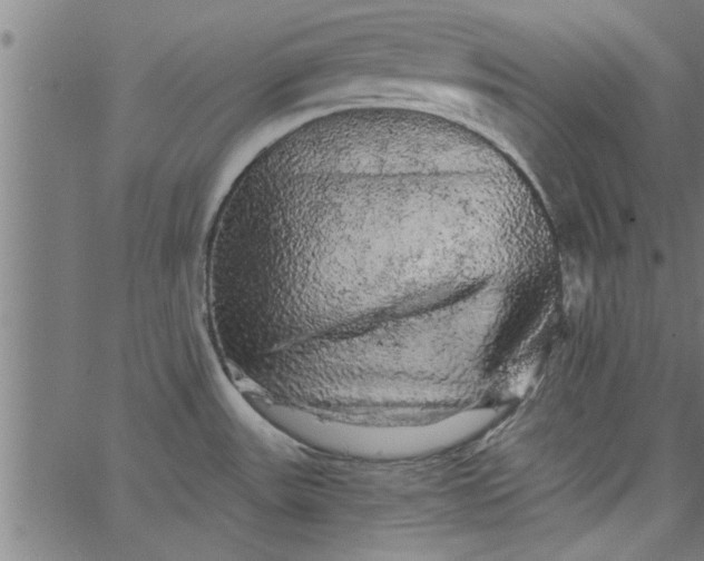 X0000066531531200603311807