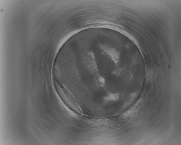 X0000066531533200603311807