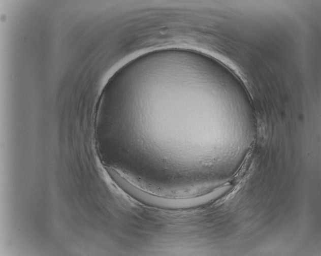 X0000066531534200603311807